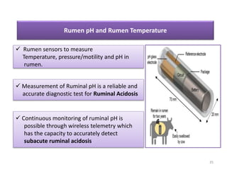 Artificial Inteligence in Animal Husbandry.pptx