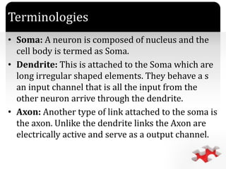 `
Terminologies
• Soma: A neuron is composed of nucleus and the
cell body is termed as Soma.
• Dendrite: This is attached to the Soma which are
long irregular shaped elements. They behave a s
an input channel that is all the input from the
other neuron arrive through the dendrite.
• Axon: Another type of link attached to the soma is
the axon. Unlike the dendrite links the Axon are
electrically active and serve as a output channel.
 