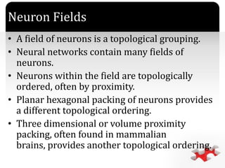 `
Neuron Fields
• A field of neurons is a topological grouping.
• Neural networks contain many fields of
neurons.
• Neurons within the field are topologically
ordered, often by proximity.
• Planar hexagonal packing of neurons provides
a different topological ordering.
• Three dimensional or volume proximity
packing, often found in mammalian
brains, provides another topological ordering.
 