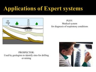 PUFF:
Medical system
for diagnosis of respiratory conditions

PROSPECTOR:
Used by geologists to identify sites for drilling
or mining

 