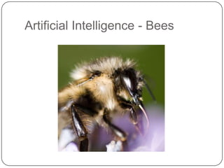 Artificial Intelligence - Bees
 