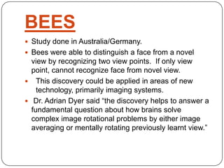 BEES
 Study done in Australia/Germany.
 Bees were able to distinguish a face from a novel
view by recognizing two view points. If only view
point, cannot recognize face from novel view.
 This discovery could be applied in areas of new
technology, primarily imaging systems.
 Dr. Adrian Dyer said “the discovery helps to answer a
fundamental question about how brains solve
complex image rotational problems by either image
averaging or mentally rotating previously learnt view.”
 
