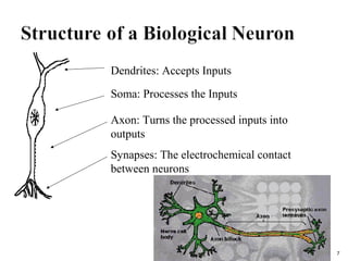 Dendrites: Accepts Inputs 
Soma: Processes the Inputs 
Axon: Turns the processed inputs into 
outputs 
Synapses: The electrochemical contact 
between neurons 
Sec 2: ANN 7 
 