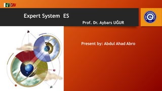 Present by: Abdul Ahad Abro
Expert System ES
Prof. Dr. Aybars UĞUR
.
 
