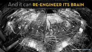 And it can re-engineer its brain
 