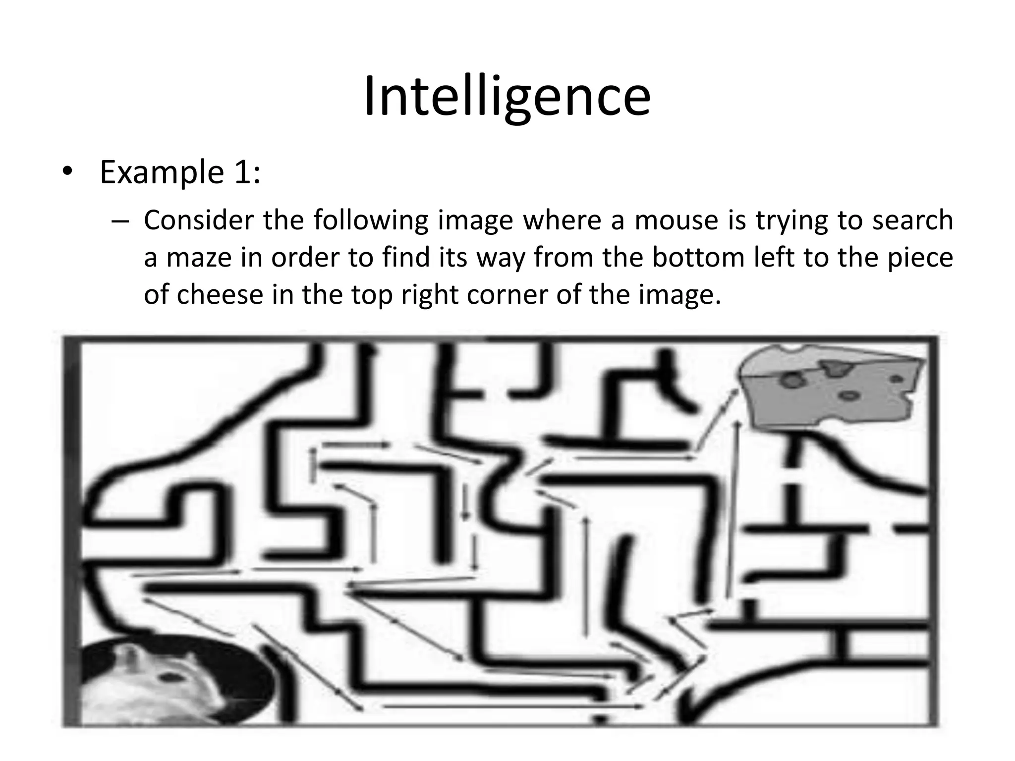Intelligence
• Example 1:
– Consider the following image where a mouse is trying to search
a maze in order to find its way from the bottom left to the piece
of cheese in the top right corner of the image.
 