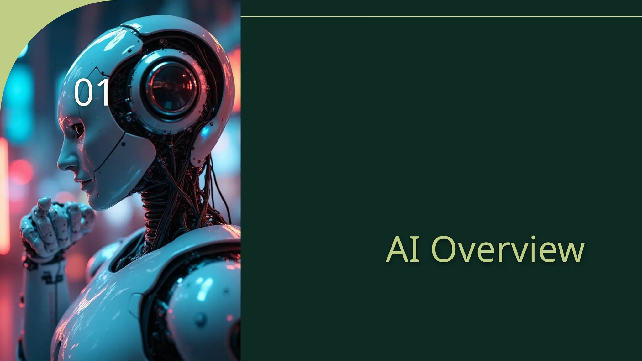AI Overview
01
 
