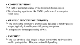 Artificial Intelligence Transforming Digital Pathology: Techniques and ...