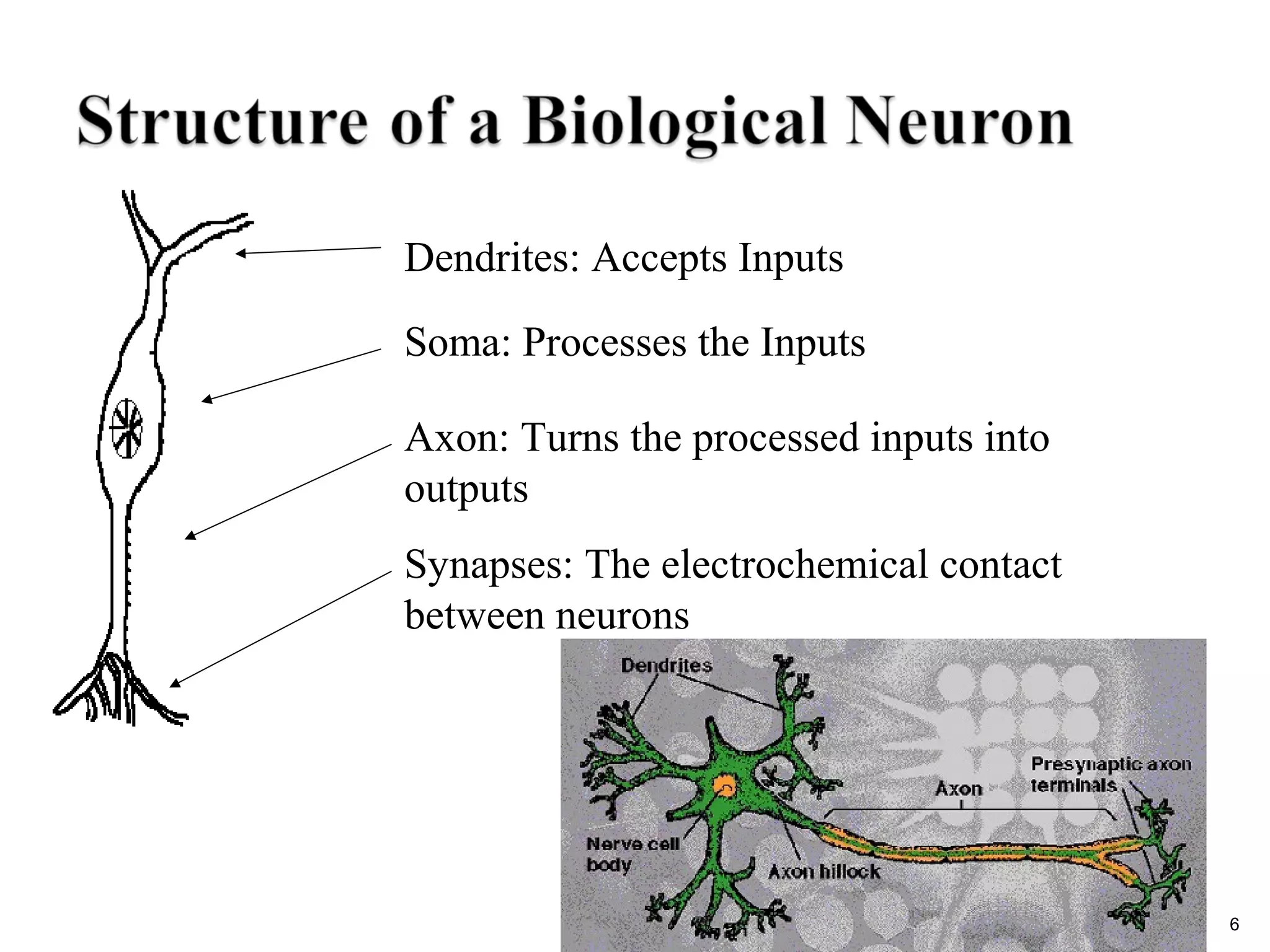 Sec 2: ANN 6
Dendrites: Accepts Inputs
Soma: Processes the Inputs
Axon: Turns the processed inputs into
outputs
Synapses: The electrochemical contact
between neurons
 