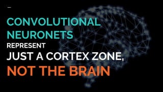 CONVOLUTIONAL
NEURONETS
REPRESENT
JUST A CORTEX ZONE,
NOT THE BRAIN
 