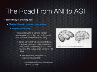 The Road From ANI to AGI
Second Key to Creating AGI:
Making it Smart - common approaches:
Plagiarize the brain
The science world is working hard on
reverse engineering the brain to ﬁgure out
how evolution made such a rad thing
so far, we’ve not yet just recently been
able to emulate a 1mm-long ﬂatworm
brain, which consists of just 302 total
neurons. The human brain contains 100
billion…
but remember the power of
exponential progress!
optimistic estimates say we can
do this by 2030.
 