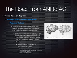 The Road From ANI to AGI
Second Key to Creating AGI:
Making it Smart - common approaches:
Plagiarize the brain
The science...
