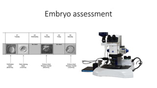 Embryo assessment
 