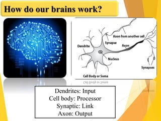 How do our brains work?
Dendrites: Input
Cell body: Processor
Synaptic: Link
Axon: Output
 