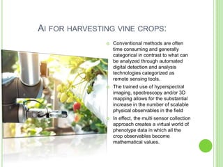 AI FOR HARVESTING VINE CROPS:
 Conventional methods are often
time consuming and generally
categorical in contrast to what can
be analyzed through automated
digital detection and analysis
technologies categorized as
remote sensing tools.
 The trained use of hyperspectral
imaging, spectroscopy and/or 3D
mapping allows for the substantial
increase in the number of scalable
physical observables in the field
 In effect, the multi sensor collection
approach creates a virtual world of
phenotype data in which all the
crop observables become
mathematical values.
 