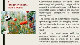 AI
FOR HARVESTING
VINE CROPS:
 Conventional methods are often time
consuming and generally categorical in
contrast to what can be analyzed through
automated digital detection and analysis
technologies categorized as remote
sensing tools.
 The trained use of hyperspectral imaging,
spectroscopy and/or 3D mapping allows
for the substantial increase in the number
of scalable physical observables in the
field
 In effect, the multi
approach creates a
sensor collection
virtual world of
phenotype data in which all the crop
observables become mathematical values.
12
 