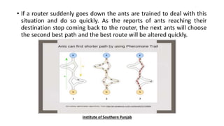 • If a router suddenly goes down the ants are trained to deal with this
situation and do so quickly. As the reports of ants reaching their
destination stop coming back to the router, the next ants will choose
the second best path and the best route will be altered quickly.
Institute of Southern Punjab
 