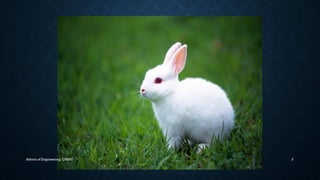 School of Engineering, CUSAT 2 
 