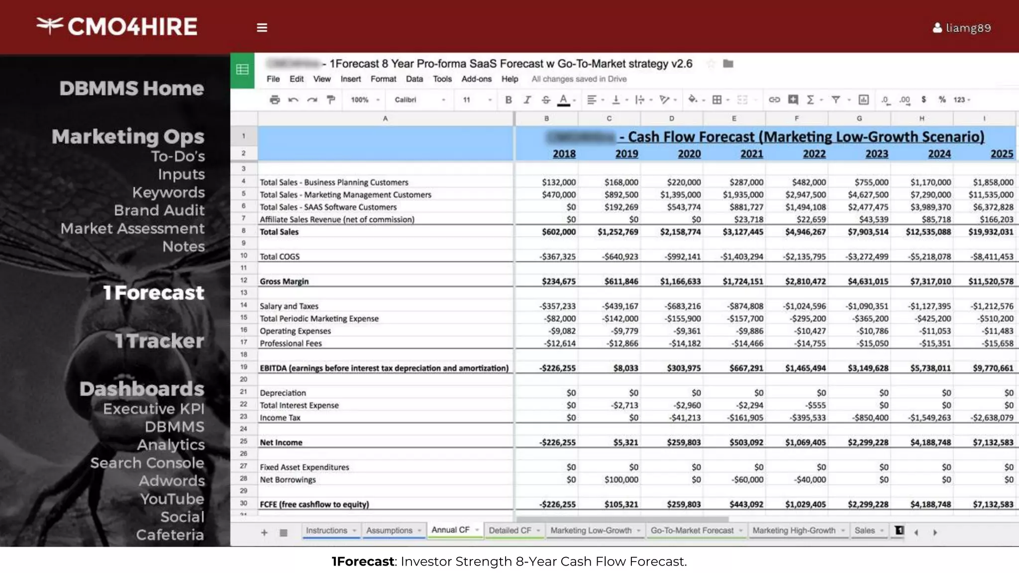 1Forecast: Investor Strength 8-Year Cash Flow Forecast.
 