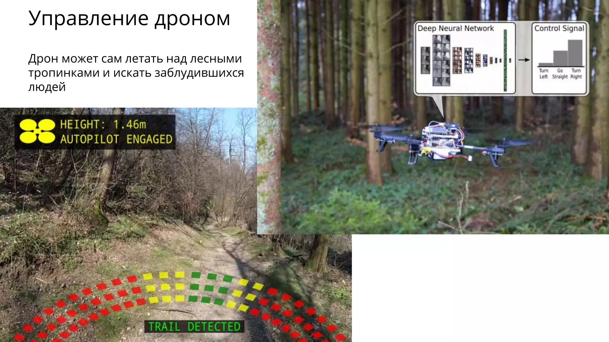 Управление дроном
Дрон может сам летать над лесными
тропинками и искать заблудившихся
людей
 