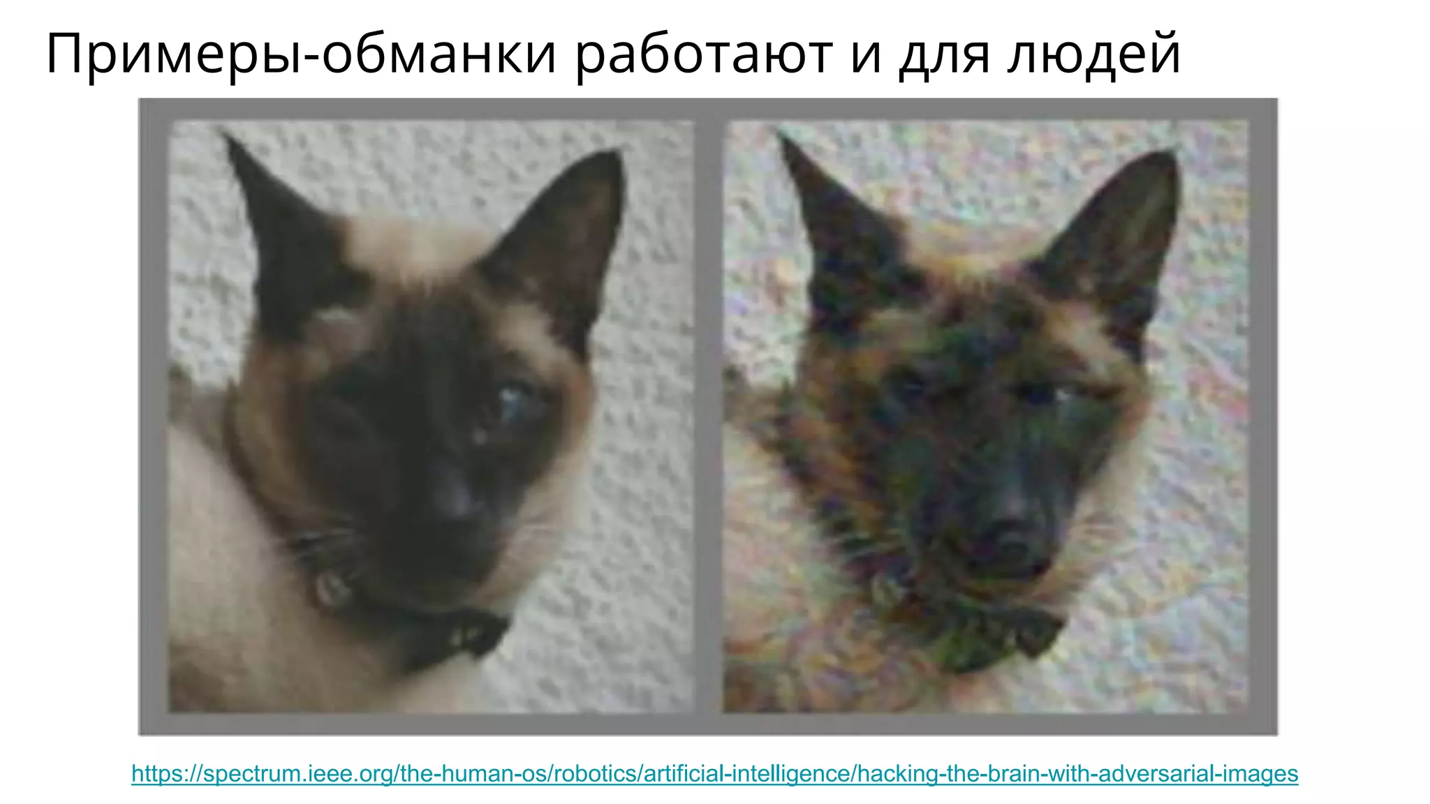 Примеры-обманки работают и для людей
https://spectrum.ieee.org/the-human-os/robotics/artificial-intelligence/hacking-the-brain-with-adversarial-images
 