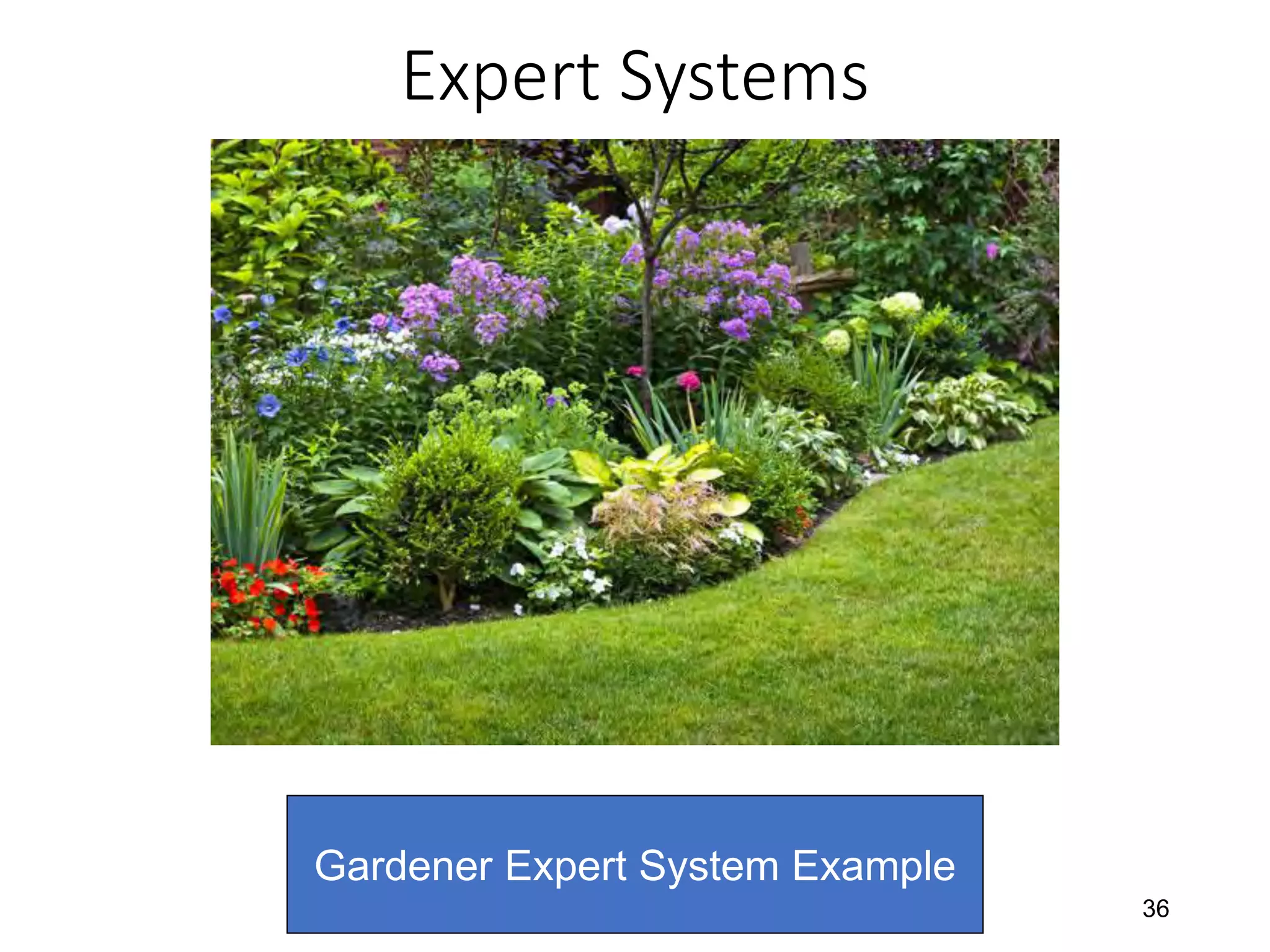 Expert Systems
36
Gardener Expert System Example
 