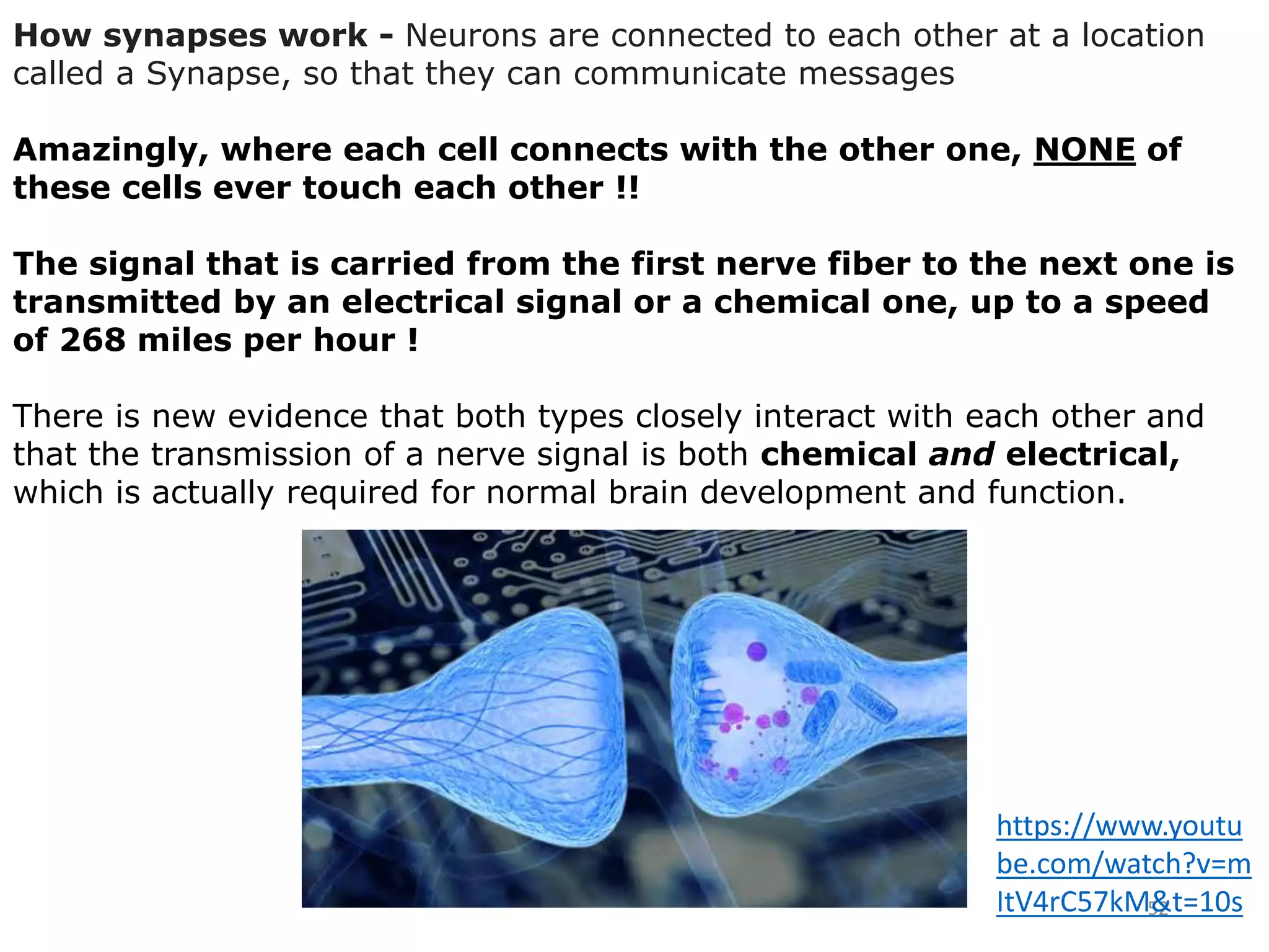 52
How synapses work - Neurons are connected to each other at a location
called a Synapse, so that they can communicate messages
Amazingly, where each cell connects with the other one, NONE of
these cells ever touch each other !!
The signal that is carried from the first nerve fiber to the next one is
transmitted by an electrical signal or a chemical one, up to a speed
of 268 miles per hour !
There is new evidence that both types closely interact with each other and
that the transmission of a nerve signal is both chemical and electrical,
which is actually required for normal brain development and function.
https://www.youtu
be.com/watch?v=m
ItV4rC57kM&t=10s
 
