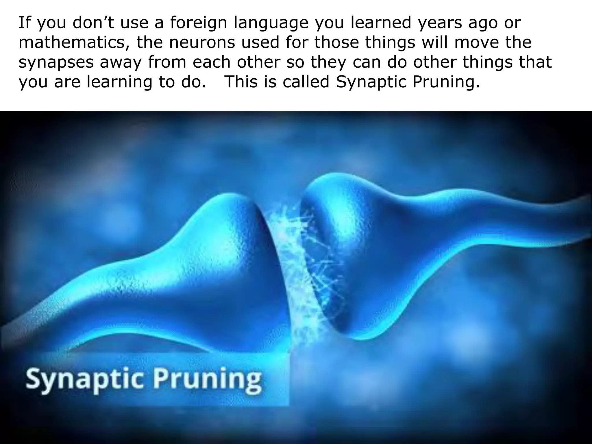 53
If you don’t use a foreign language you learned years ago or
mathematics, the neurons used for those things will move the
synapses away from each other so they can do other things that
you are learning to do. This is called Synaptic Pruning.
 