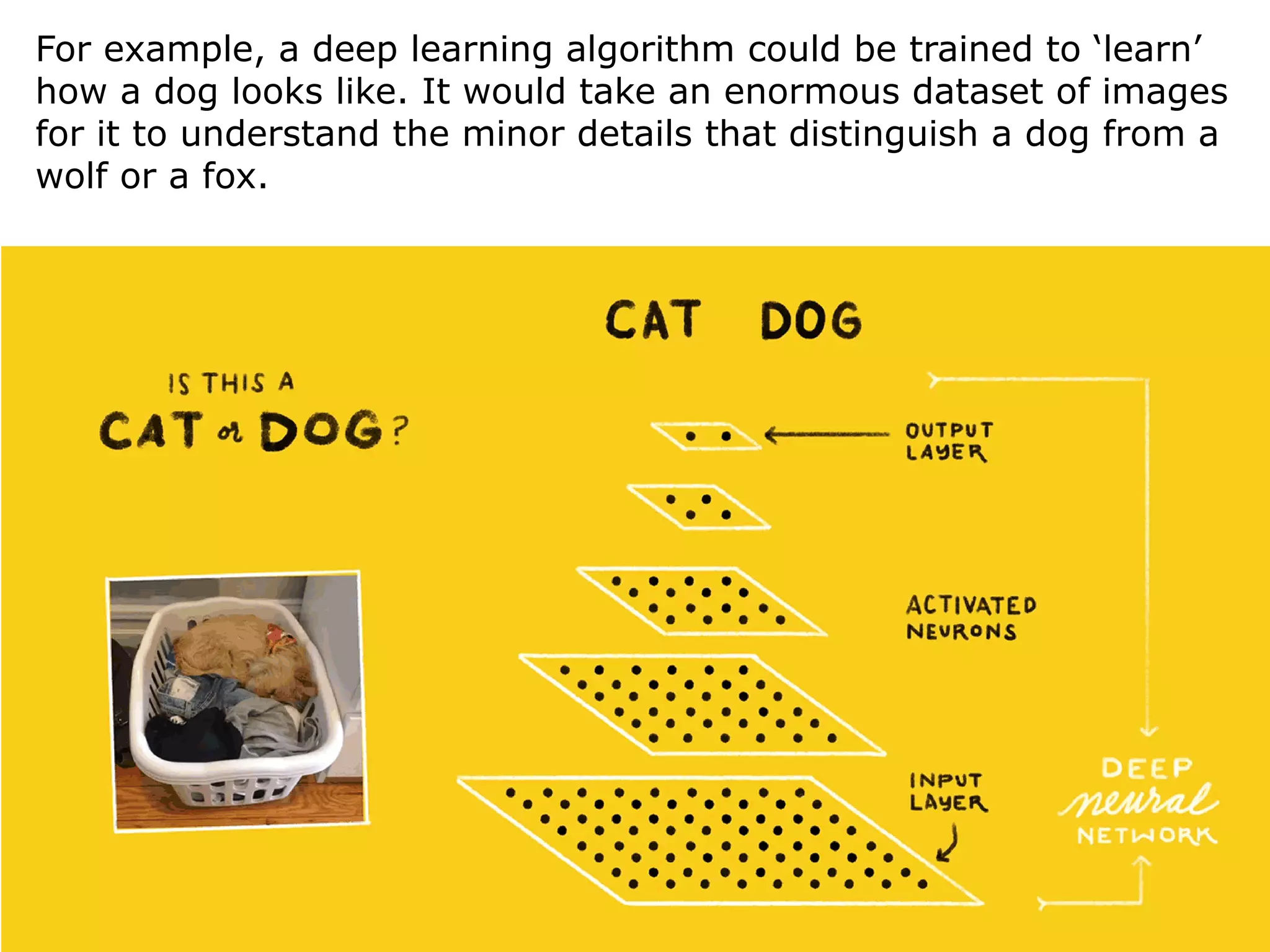 65
For example, a deep learning algorithm could be trained to ‘learn’
how a dog looks like. It would take an enormous dataset of images
for it to understand the minor details that distinguish a dog from a
wolf or a fox.
 