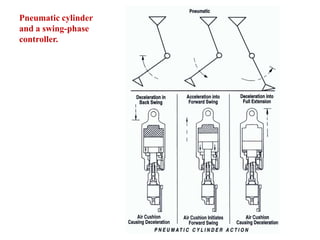 Pneumatic cylinder
and a swing-phase
controller.

 