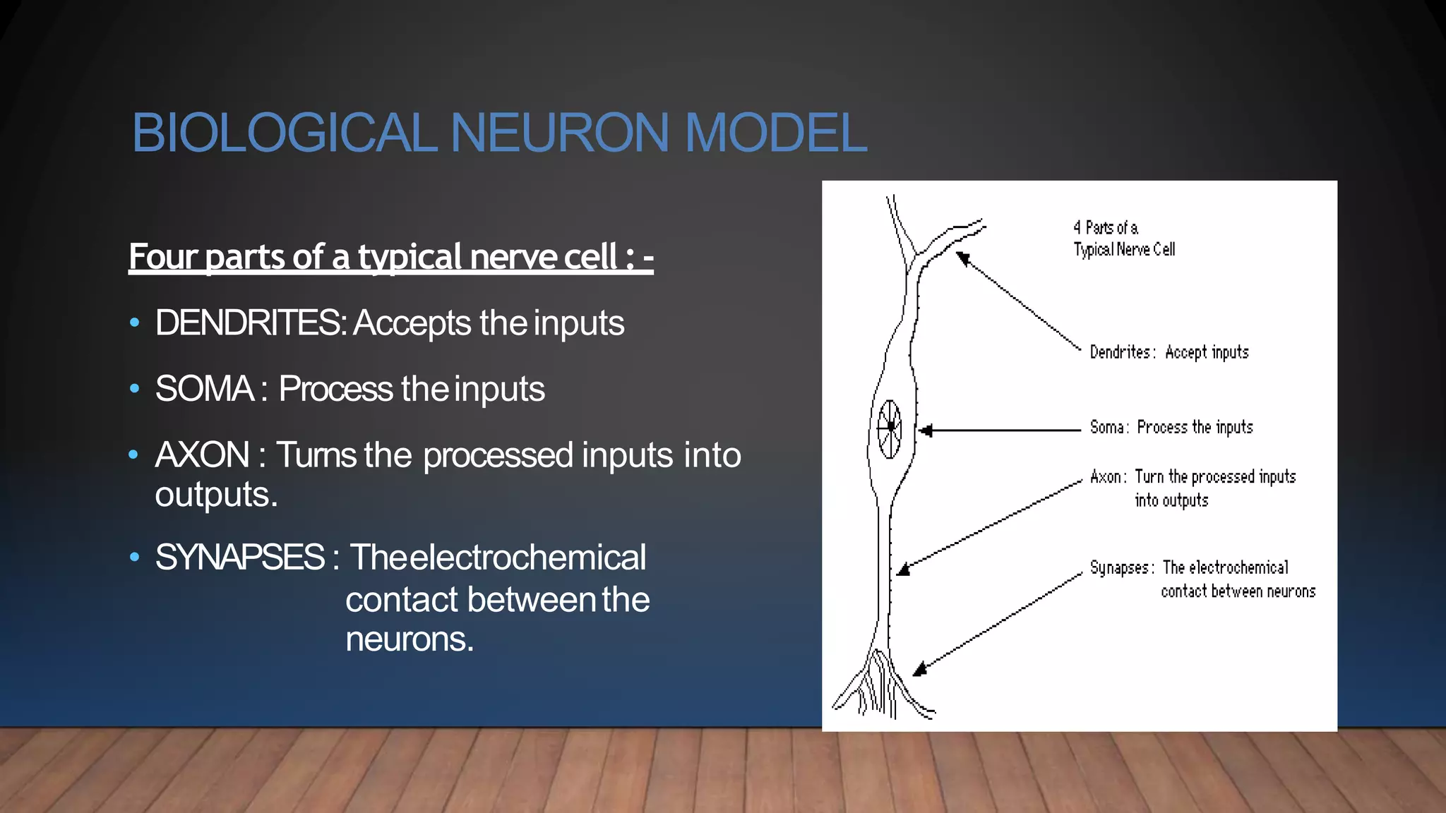 BIOLOGICAL NEURON MODEL
Fourparts of a typical nervecell :-
• DENDRITES:Accepts theinputs
• SOMA: Process theinputs
• AXON : Turns the processed inputs into
outputs.
• SYNAPSES: Theelectrochemical
contact betweenthe
neurons.
 