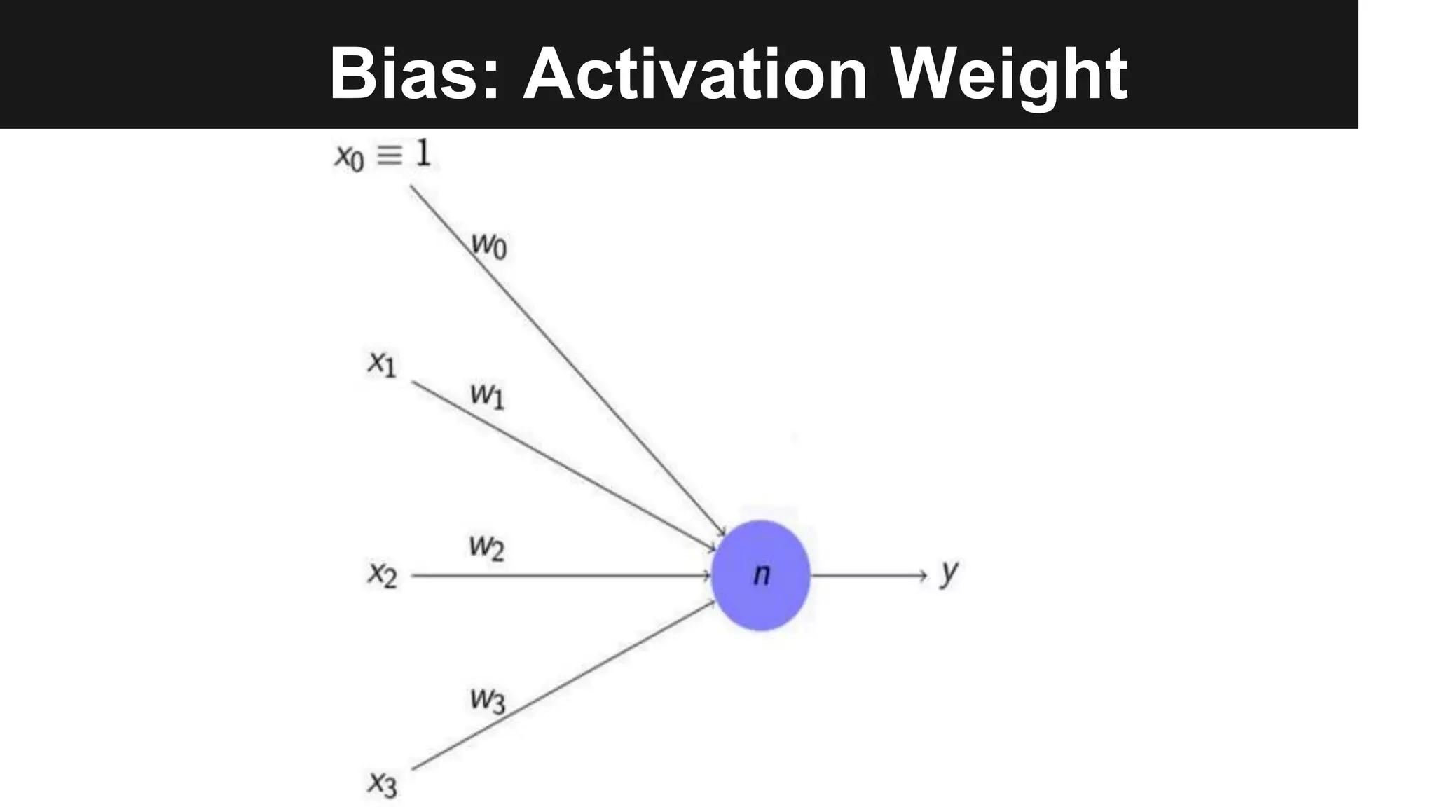 Bias: Activation Weight
 