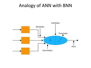 Analogy of ANN with BNN
 