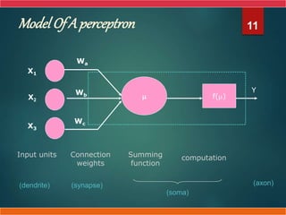 Model Of A perceptron 11
 f()
Y
Wa
Wb
Wc
Connection
weights
Summing
function
computation
X1
X3
X2
Input units
(dendrite) (synapse) (axon)
(soma)
 