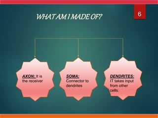 6
AXON: It is
the receiver
SOMA:
Connector to
dendrites
DENDRITES:
IT takes input
from other
cells.
WHATAMI MADEOF?
 