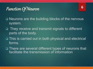 FunctionOf Neuron
 Neurons are the building blocks of the nervous
system.
 They receive and transmit signals to different
parts of the body.
 This is carried out in both physical and electrical
forms.
 There are several different types of neurons that
facilitate the transmission of information.
6
 