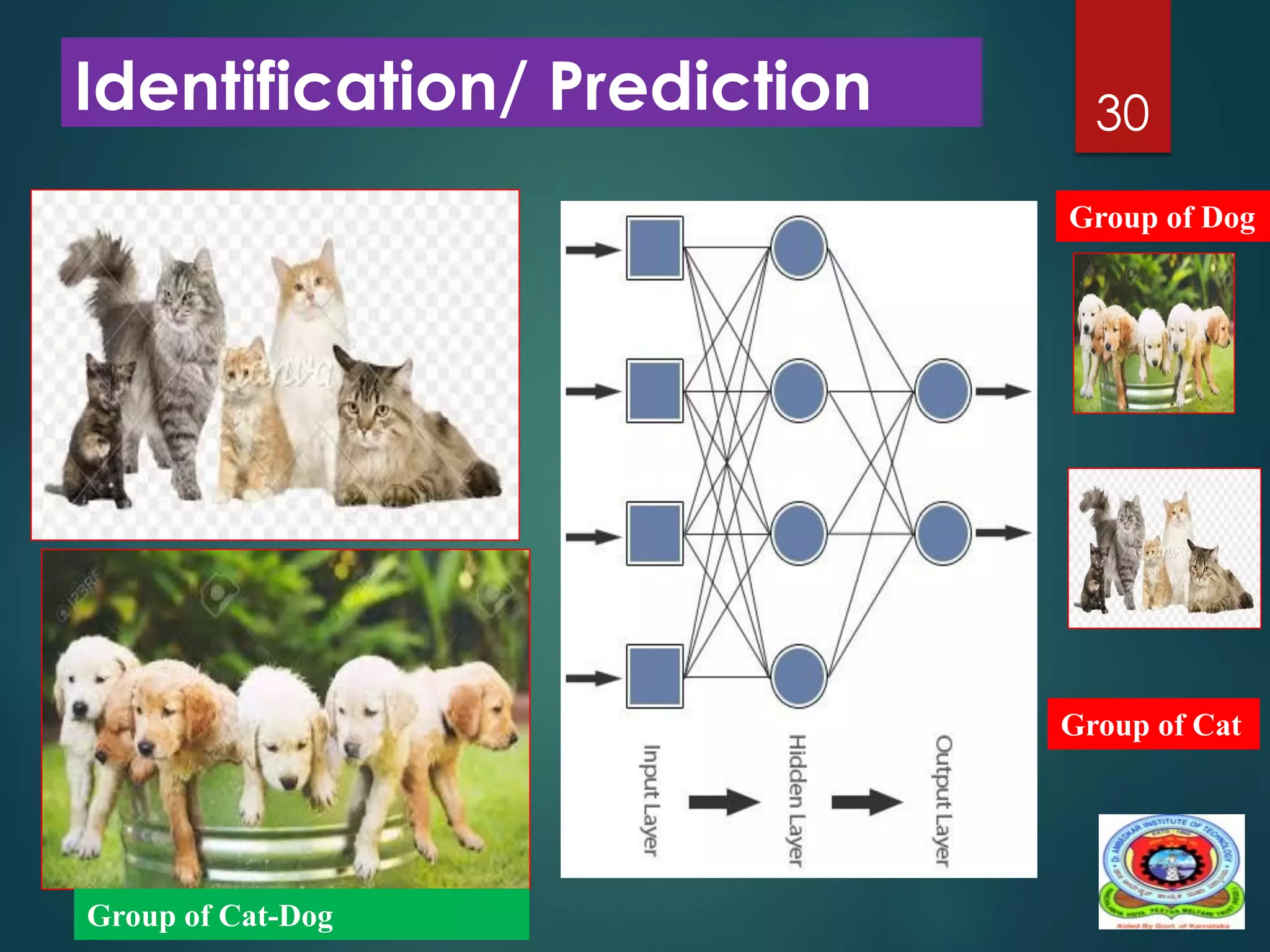 Identification/ Prediction 30
Group of Cat-Dog
Group of Cat
Group of Dog
 