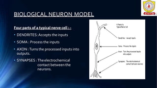 BIOLOGICAL NEURON MODEL
Four parts of a typical nerve cell : -
• DENDRITES: Accepts the inputs
• SOMA : Process the inputs
• AXON :Turns the processed inputs into
outputs.
• SYNAPSES :Theelectrochemical
contact between the
neurons.
 