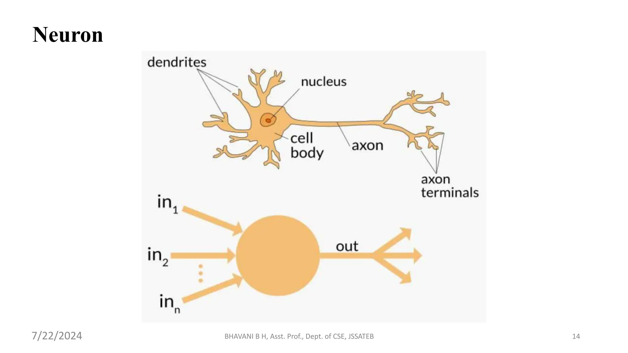 Neuron
BHAVANI B H, Asst. Prof., Dept. of CSE, JSSATEB 14
7/22/2024
 