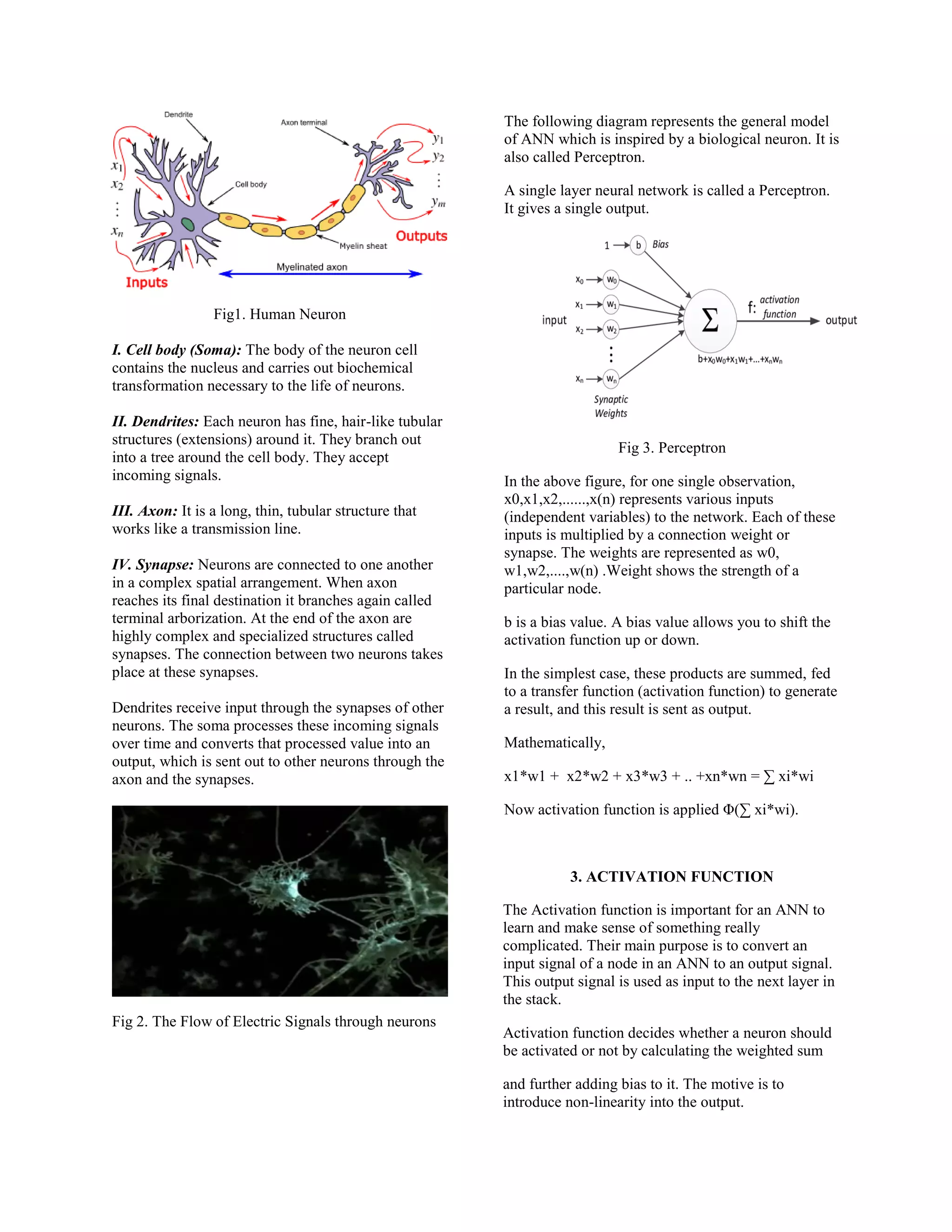 Fig1. Human Neuron
I. Cell body (Soma): The body of the neuron cell
contains the nucleus and carries out biochemical
transformation necessary to the life of neurons.
II. Dendrites: Each neuron has fine, hair-like tubular
structures (extensions) around it. They branch out
into a tree around the cell body. They accept
incoming signals.
III. Axon: It is a long, thin, tubular structure that
works like a transmission line.
IV. Synapse: Neurons are connected to one another
in a complex spatial arrangement. When axon
reaches its final destination it branches again called
terminal arborization. At the end of the axon are
highly complex and specialized structures called
synapses. The connection between two neurons takes
place at these synapses.
Dendrites receive input through the synapses of other
neurons. The soma processes these incoming signals
over time and converts that processed value into an
output, which is sent out to other neurons through the
axon and the synapses.
Fig 2. The Flow of Electric Signals through neurons
The following diagram represents the general model
of ANN which is inspired by a biological neuron. It is
also called Perceptron.
A single layer neural network is called a Perceptron.
It gives a single output.
Fig 3. Perceptron
In the above figure, for one single observation,
x0,x1,x2,......,x(n) represents various inputs
(independent variables) to the network. Each of these
inputs is multiplied by a connection weight or
synapse. The weights are represented as w0,
w1,w2,....,w(n) .Weight shows the strength of a
particular node.
b is a bias value. A bias value allows you to shift the
activation function up or down.
In the simplest case, these products are summed, fed
to a transfer function (activation function) to generate
a result, and this result is sent as output.
Mathematically,
x1*w1 + x2*w2 + x3*w3 + .. +xn*wn = ∑ xi*wi
Now activation function is applied Φ(∑ xi*wi).
3. ACTIVATION FUNCTION
The Activation function is important for an ANN to
learn and make sense of something really
complicated. Their main purpose is to convert an
input signal of a node in an ANN to an output signal.
This output signal is used as input to the next layer in
the stack.
Activation function decides whether a neuron should
be activated or not by calculating the weighted sum
and further adding bias to it. The motive is to
introduce non-linearity into the output.
 