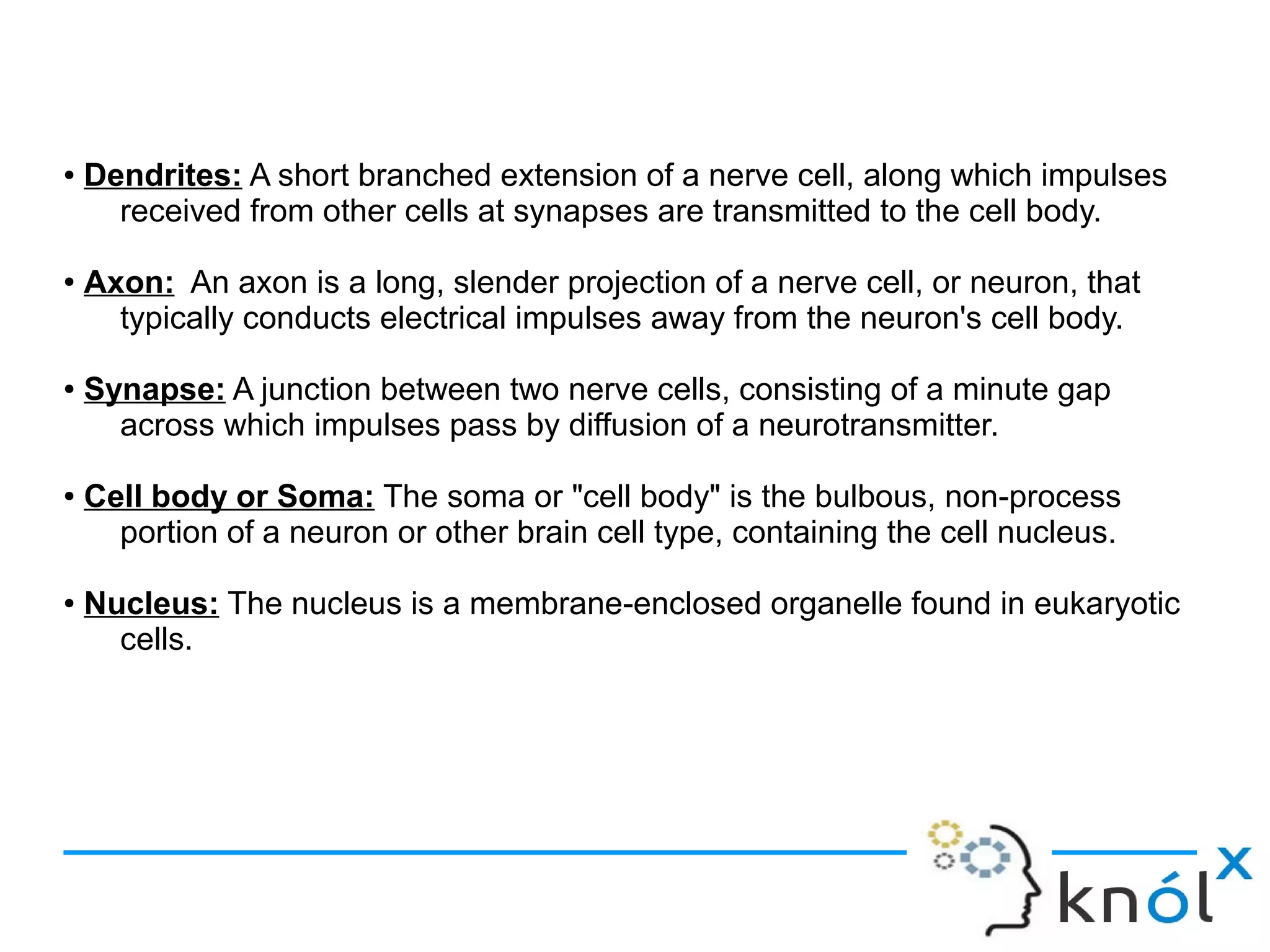 ● Dendrites: A short branched extension of a nerve cell, along which impulses
received from other cells at synapses are transmitted to the cell body.
● Axon: An axon is a long, slender projection of a nerve cell, or neuron, that
typically conducts electrical impulses away from the neuron's cell body.
● Synapse: A junction between two nerve cells, consisting of a minute gap
across which impulses pass by diffusion of a neurotransmitter.
● Cell body or Soma: The soma or "cell body" is the bulbous, non-process
portion of a neuron or other brain cell type, containing the cell nucleus.
● Nucleus: The nucleus is a membrane-enclosed organelle found in eukaryotic
cells.
 