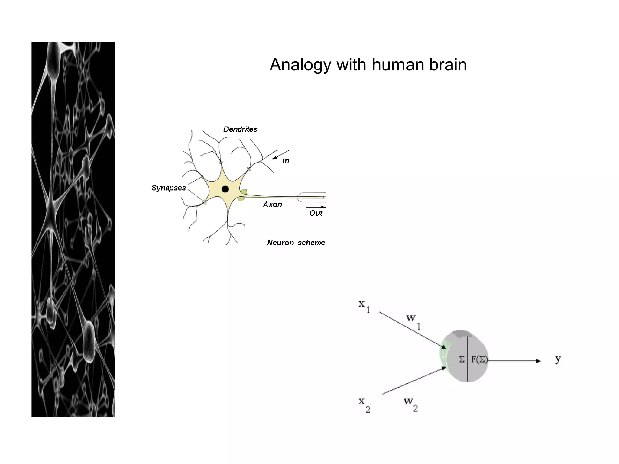 Analogy with human brain
 