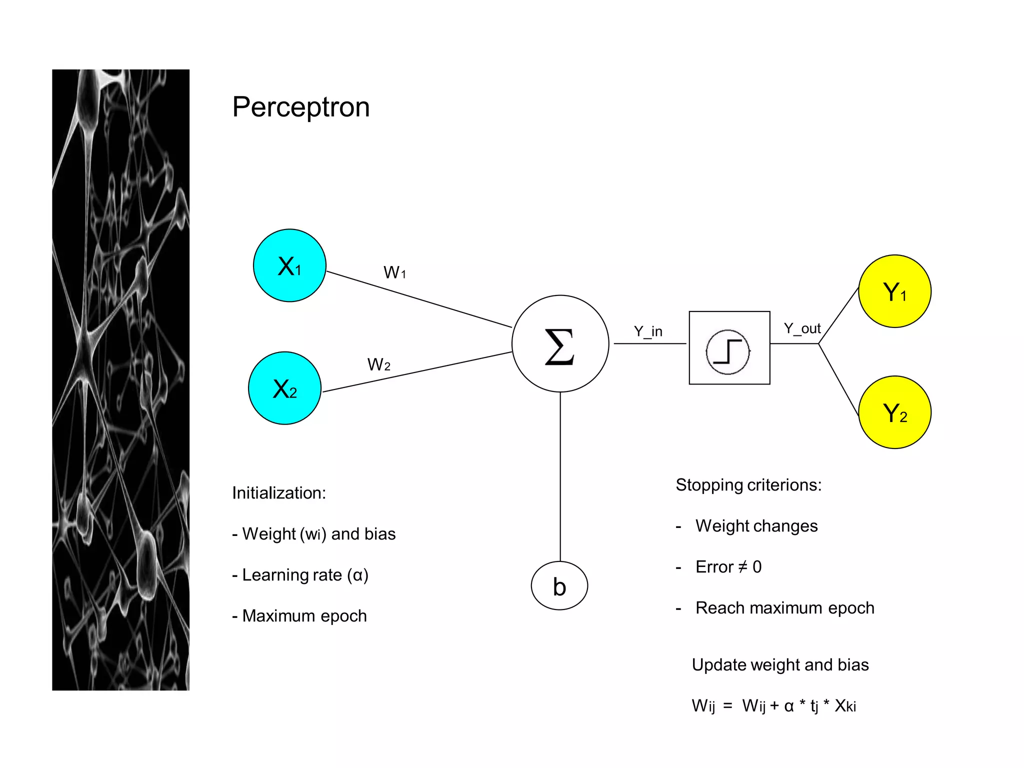Perceptron




       X1             W1
                                                                     Y1
                               Y_in                   Y_out
                                            F
                  W2
      X2
                                                                     Y2

Initialization:                       Stopping criterions:

- Weight (wi) and bias                - Weight changes

- Learning rate (α)                   - Error ≠ 0
                           b
- Maximum epoch                       - Reach maximum epoch


                                        Update weight and bias

                                        W ij = W ij + α * tj * Xki
 