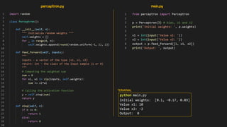perceptron.py main.py
TERMINAL
 
