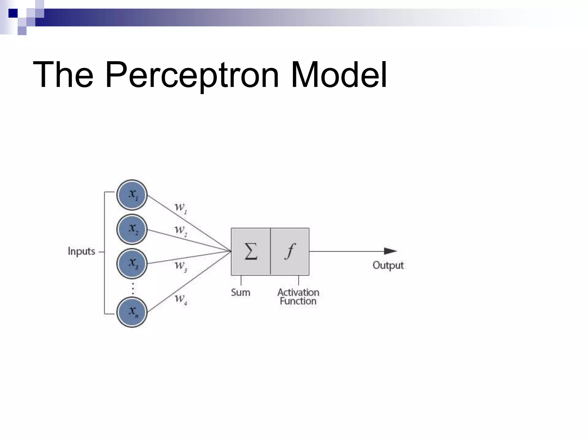 The Perceptron Model
 