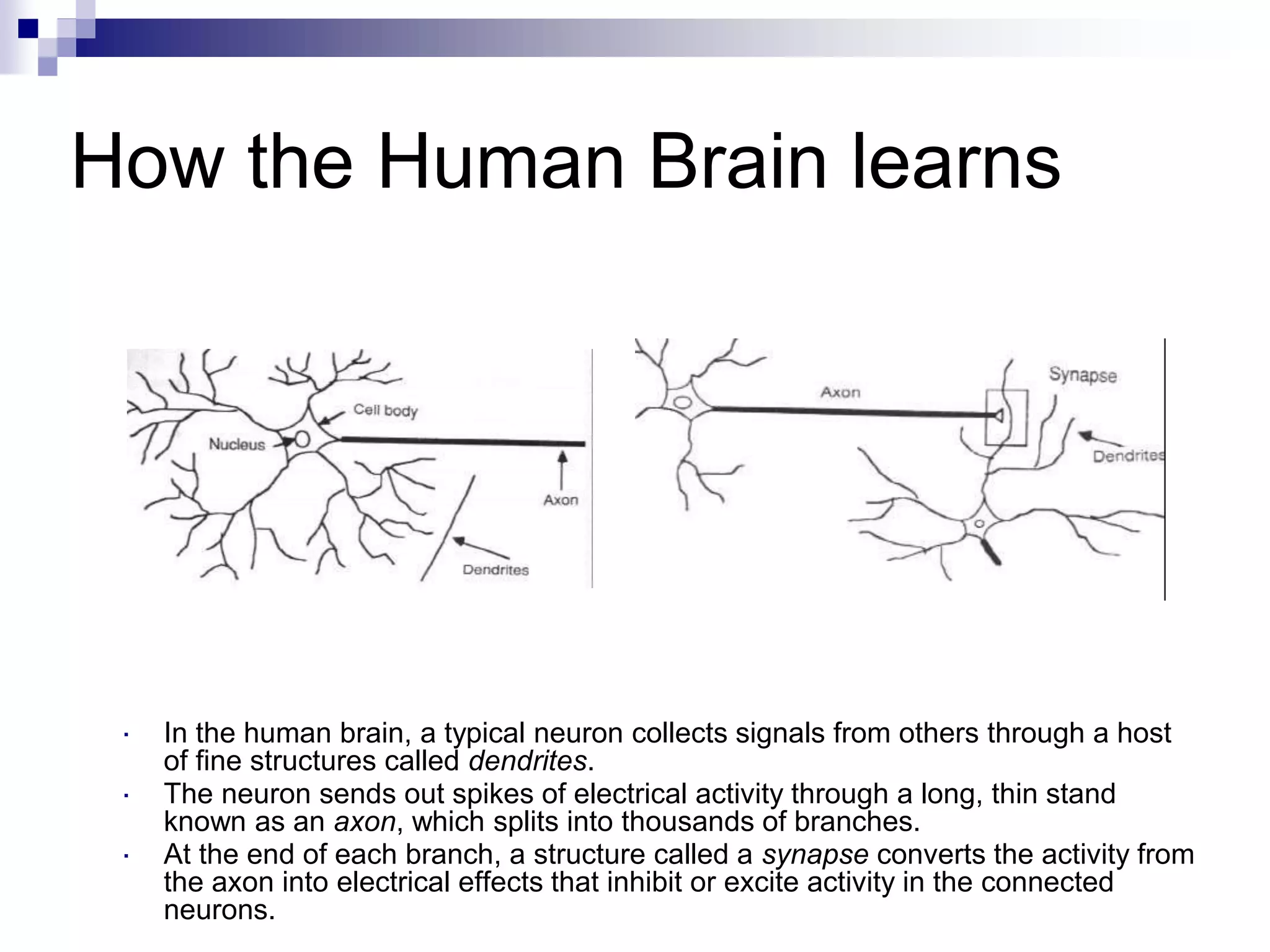 How the Human Brain learns
 In the human brain, a typical neuron collects signals from others through a host
of fine structures called dendrites.
 The neuron sends out spikes of electrical activity through a long, thin stand
known as an axon, which splits into thousands of branches.
 At the end of each branch, a structure called a synapse converts the activity from
the axon into electrical effects that inhibit or excite activity in the connected
neurons.
 