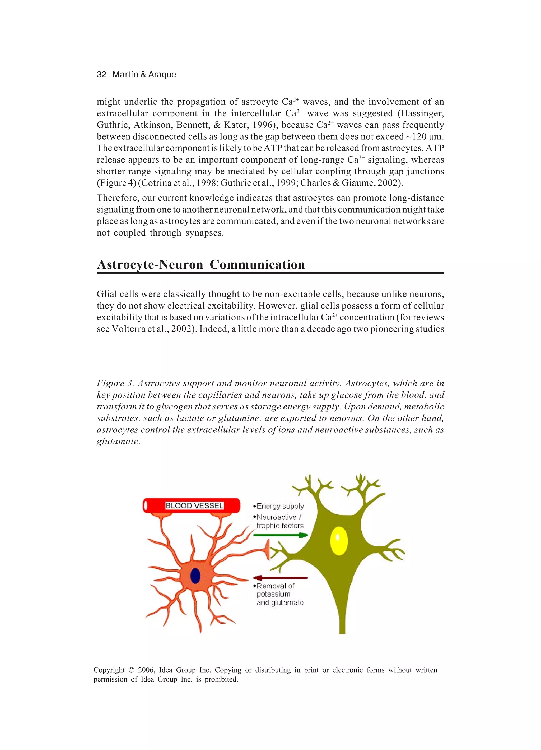 32 Martín & Araque Copyright © 2006, Idea Group Inc. Copying or distributing in print or electronic forms without written permission of Idea Group Inc. is prohibited. might underlie the propagation of astrocyte Ca2+ waves, and the involvement of an extracellular component in the intercellular Ca2+ wave was suggested (Hassinger, Guthrie, Atkinson, Bennett, & Kater, 1996), because Ca2+ waves can pass frequently between disconnected cells as long as the gap between them does not exceed ~120 µm. The extracellular component is likely to be ATP that can be released from astrocytes. ATP release appears to be an important component of long-range Ca2+ signaling, whereas shorter range signaling may be mediated by cellular coupling through gap junctions (Figure 4) (Cotrina et al., 1998; Guthrie et al., 1999; Charles & Giaume, 2002). Therefore, our current knowledge indicates that astrocytes can promote long-distance signaling from one to another neuronal network, and that this communication might take place as long as astrocytes are communicated, and even if the two neuronal networks are not coupled through synapses. Astrocyte-Neuron Communication Glial cells were classically thought to be non-excitable cells, because unlike neurons, they do not show electrical excitability. However, glial cells possess a form of cellular excitability that is based on variations of the intracellular Ca2+ concentration (for reviews see Volterra et al., 2002). Indeed, a little more than a decade ago two pioneering studies Figure 3. Astrocytes support and monitor neuronal activity. Astrocytes, which are in key position between the capillaries and neurons, take up glucose from the blood, and transform it to glycogen that serves as storage energy supply. Upon demand, metabolic substrates, such as lactate or glutamine, are exported to neurons. On the other hand, astrocytes control the extracellular levels of ions and neuroactive substances, such as glutamate. 
