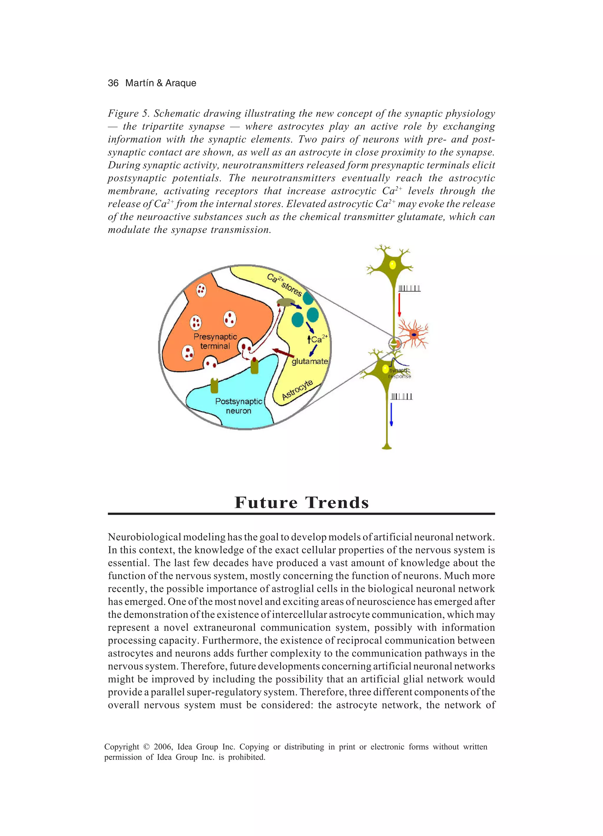 36 Martín & Araque Copyright © 2006, Idea Group Inc. Copying or distributing in print or electronic forms without written permission of Idea Group Inc. is prohibited. Future Trends Neurobiological modeling has the goal to develop models of artificial neuronal network. In this context, the knowledge of the exact cellular properties of the nervous system is essential. The last few decades have produced a vast amount of knowledge about the function of the nervous system, mostly concerning the function of neurons. Much more recently, the possible importance of astroglial cells in the biological neuronal network has emerged. One of the most novel and exciting areas of neuroscience has emerged after the demonstration of the existence of intercellular astrocyte communication, which may represent a novel extraneuronal communication system, possibly with information processing capacity. Furthermore, the existence of reciprocal communication between astrocytes and neurons adds further complexity to the communication pathways in the nervous system. Therefore, future developments concerning artificial neuronal networks might be improved by including the possibility that an artificial glial network would provide a parallel super-regulatory system. Therefore, three different components of the overall nervous system must be considered: the astrocyte network, the network of Figure 5. Schematic drawing illustrating the new concept of the synaptic physiology — the tripartite synapse — where astrocytes play an active role by exchanging information with the synaptic elements. Two pairs of neurons with pre- and post- synaptic contact are shown, as well as an astrocyte in close proximity to the synapse. During synaptic activity, neurotransmitters released form presynaptic terminals elicit postsynaptic potentials. The neurotransmitters eventually reach the astrocytic membrane, activating receptors that increase astrocytic Ca2+ levels through the release of Ca2+ from the internal stores. Elevated astrocytic Ca2+ may evoke the release of the neuroactive substances such as the chemical transmitter glutamate, which can modulate the synapse transmission. 