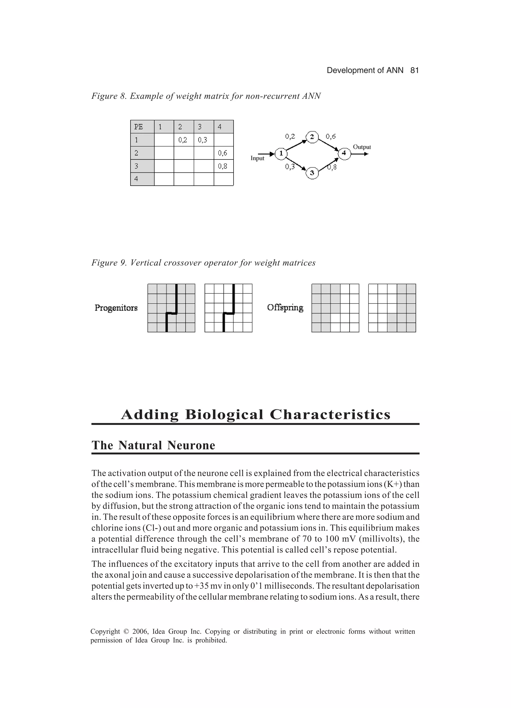 Development of ANN 81 Copyright © 2006, Idea Group Inc. Copying or distributing in print or electronic forms without written permission of Idea Group Inc. is prohibited. Adding Biological Characteristics The Natural Neurone The activation output of the neurone cell is explained from the electrical characteristics of the cell’s membrane. This membrane is more permeable to the potassium ions (K+) than the sodium ions. The potassium chemical gradient leaves the potassium ions of the cell by diffusion, but the strong attraction of the organic ions tend to maintain the potassium in. The result of these opposite forces is an equilibrium where there are more sodium and chlorine ions (Cl-) out and more organic and potassium ions in. This equilibrium makes a potential difference through the cell’s membrane of 70 to 100 mV (millivolts), the intracellular fluid being negative. This potential is called cell’s repose potential. The influences of the excitatory inputs that arrive to the cell from another are added in the axonal join and cause a successive depolarisation of the membrane. It is then that the potential gets inverted up to +35 mv in only 0’1 milliseconds. The resultant depolarisation alters the permeability of the cellular membrane relating to sodium ions. As a result, there Figure 8. Example of weight matrix for non-recurrent ANN Figure 9. Vertical crossover operator for weight matrices 