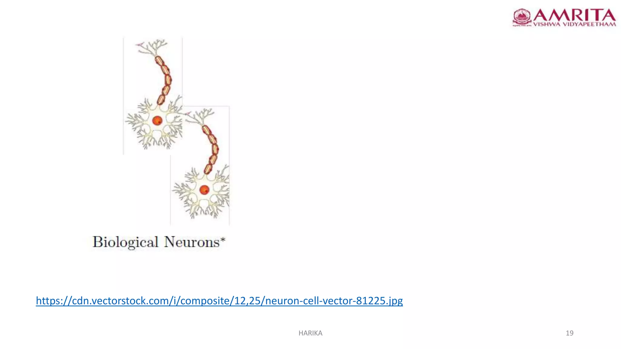 19
HARIKA
https://cdn.vectorstock.com/i/composite/12,25/neuron-cell-vector-81225.jpg
 